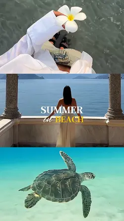 summer in beach