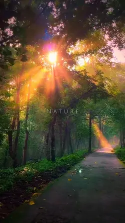 Nature therap
