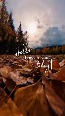 How are you today?