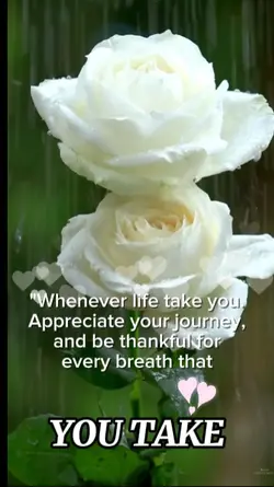 You take