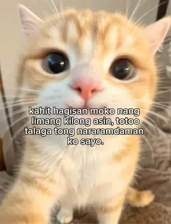 asin ba Kamo