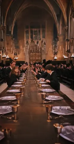 Harry Potter Video