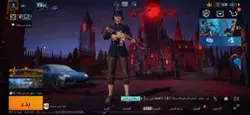 الضلع