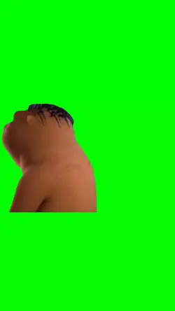 Chinese bear