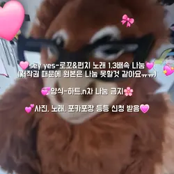 세이 예스 음원 나누미