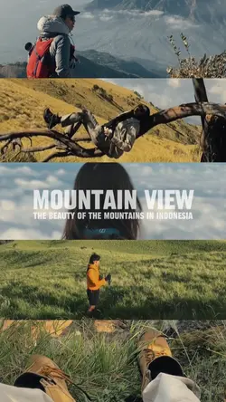 Mountain view_
