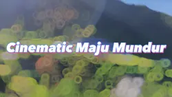 Cinematic Filter
