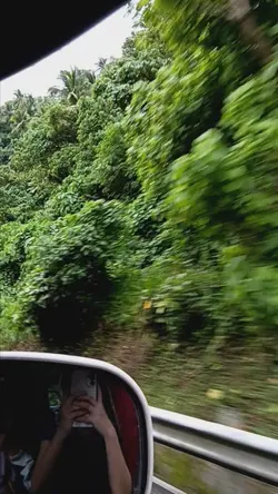 Nature Trip