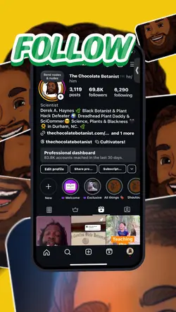 Shoutout follow