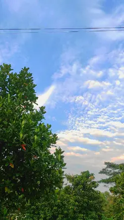 cinematic awan