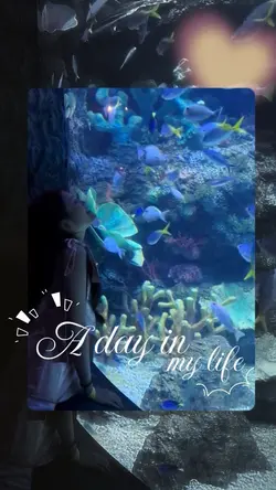 A day in my life