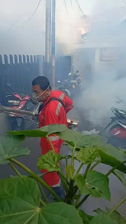 Demam berdarah