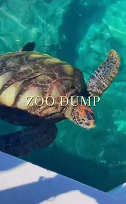 ZOO DUMP
