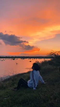 filter senja