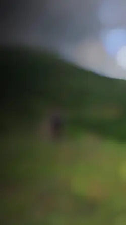 TikTok Resid Imanov