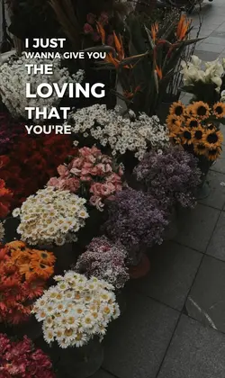 I just wanna give