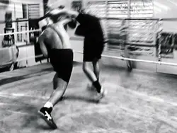 fight