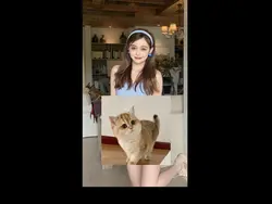 New ai pictovideo