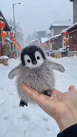 penguen fancam