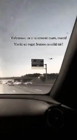 mulțumesc mamă 