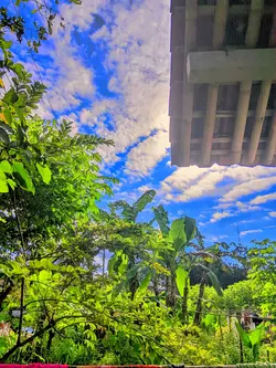 Filter IPhone