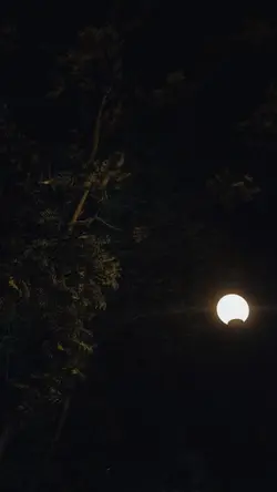 late night slowmo