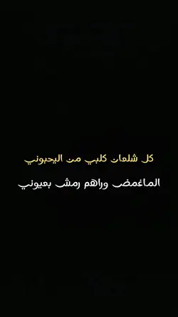 كل شلعان كلبي