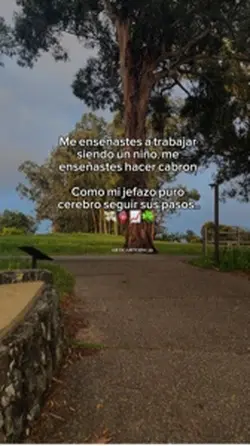 Como mi jefazo