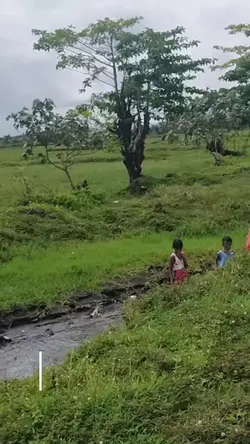 Dala ko parin