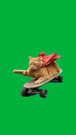 Supercat 