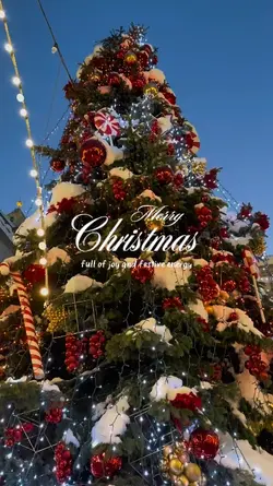 merry Christmas