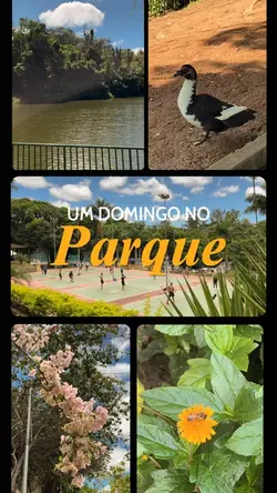 Story colagem . Vlog