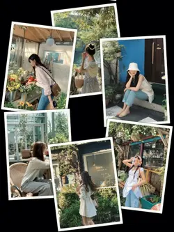 6Pic Photo Aesthetic