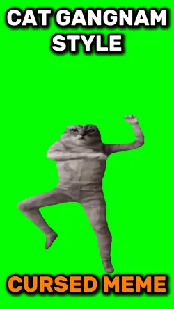 Gangnam style cat 