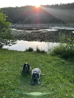 Morning walks