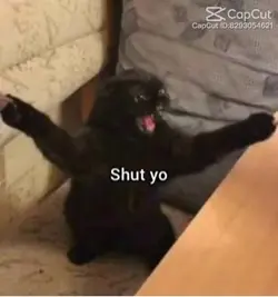 Shut your