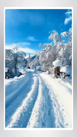 Winter vibes