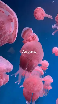 august recap 2026