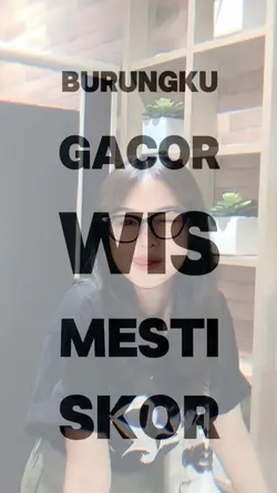 burungku gacor jj