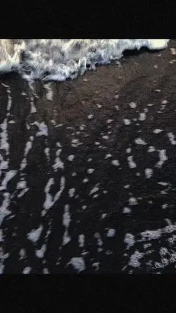 SlowMo 