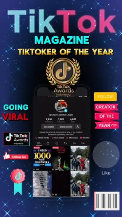 TikTok profile views