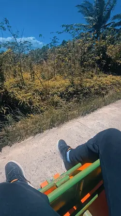 Nature Trip