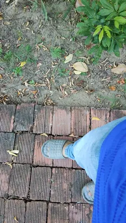 Siêu dính