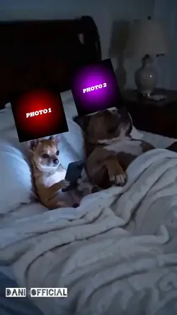 WOULD EDIT TEMPLATE 