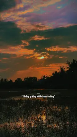 Mẫu 1 video ảnh 