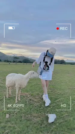 Mẫu 5 ảnh 