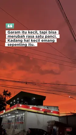 Quotes 🤍