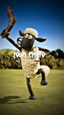 เพลงบาร์ซิล มาแรง