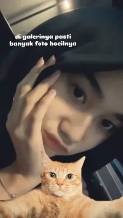 6 foto