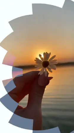 Beautiful Sunset